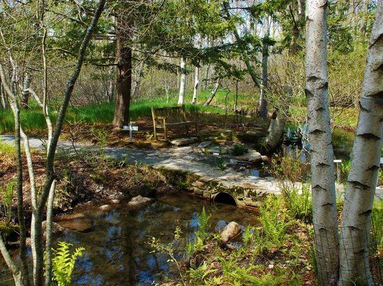 Wild Gardens of Acadia